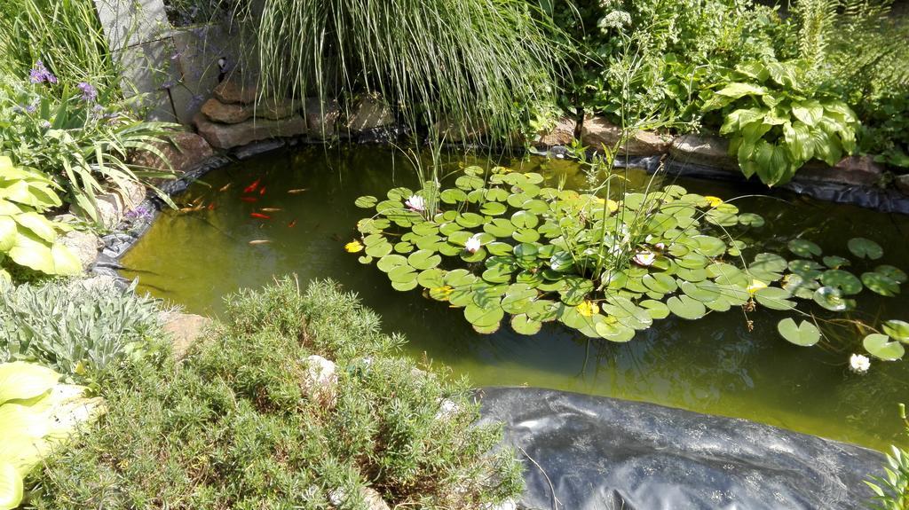 Kis Teniszhaz Ordacsehi Εξωτερικό φωτογραφία